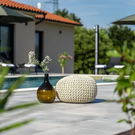 Photinia Villa *